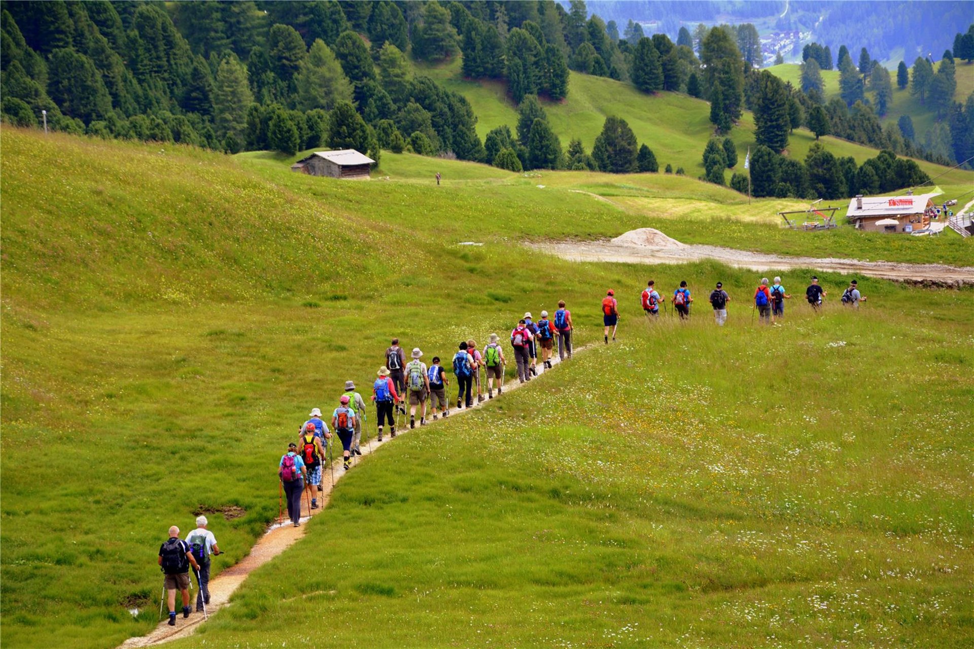 Eine Gruppe von Wanderern geht auf einem schmalen Pfad durch eine grüne, hügelige Landschaft mit Bäumen im Hintergrund.
