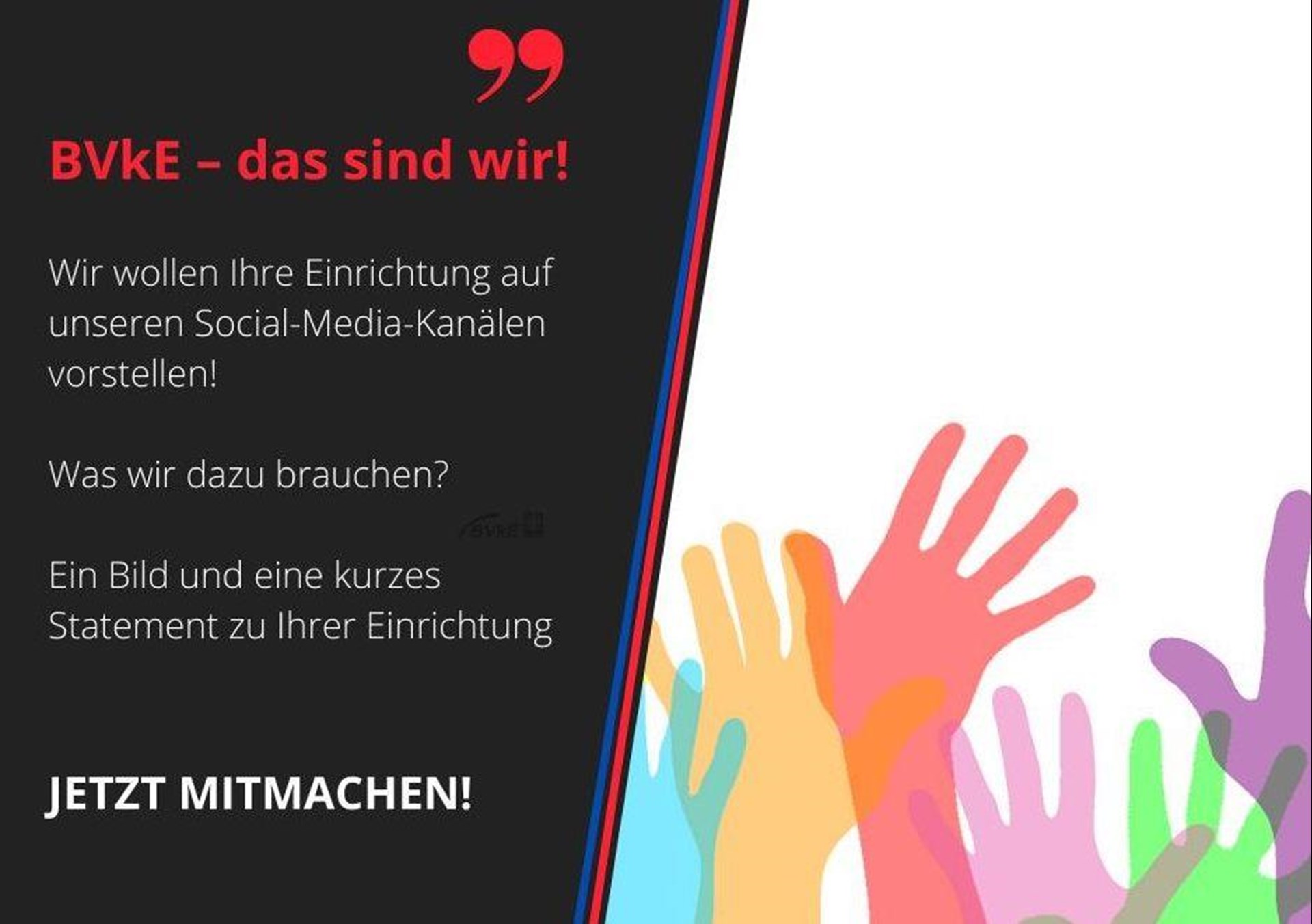 Aktion BVKE das sind wir